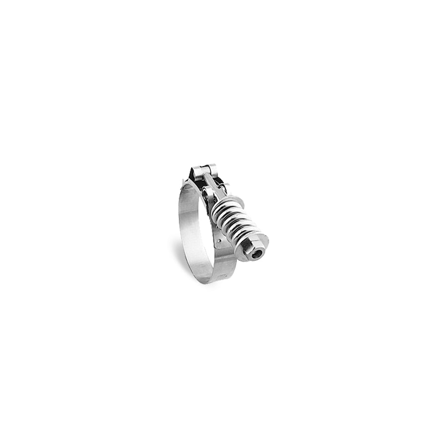 Spring - Loaded T-Bolt Clamps