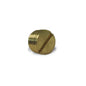 Pipe Fitting, Slotted Plug