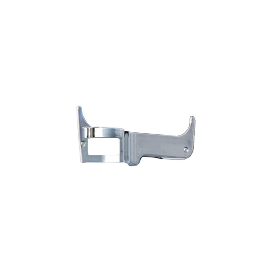 Camera Cover Plate, Chrome, Driver Side